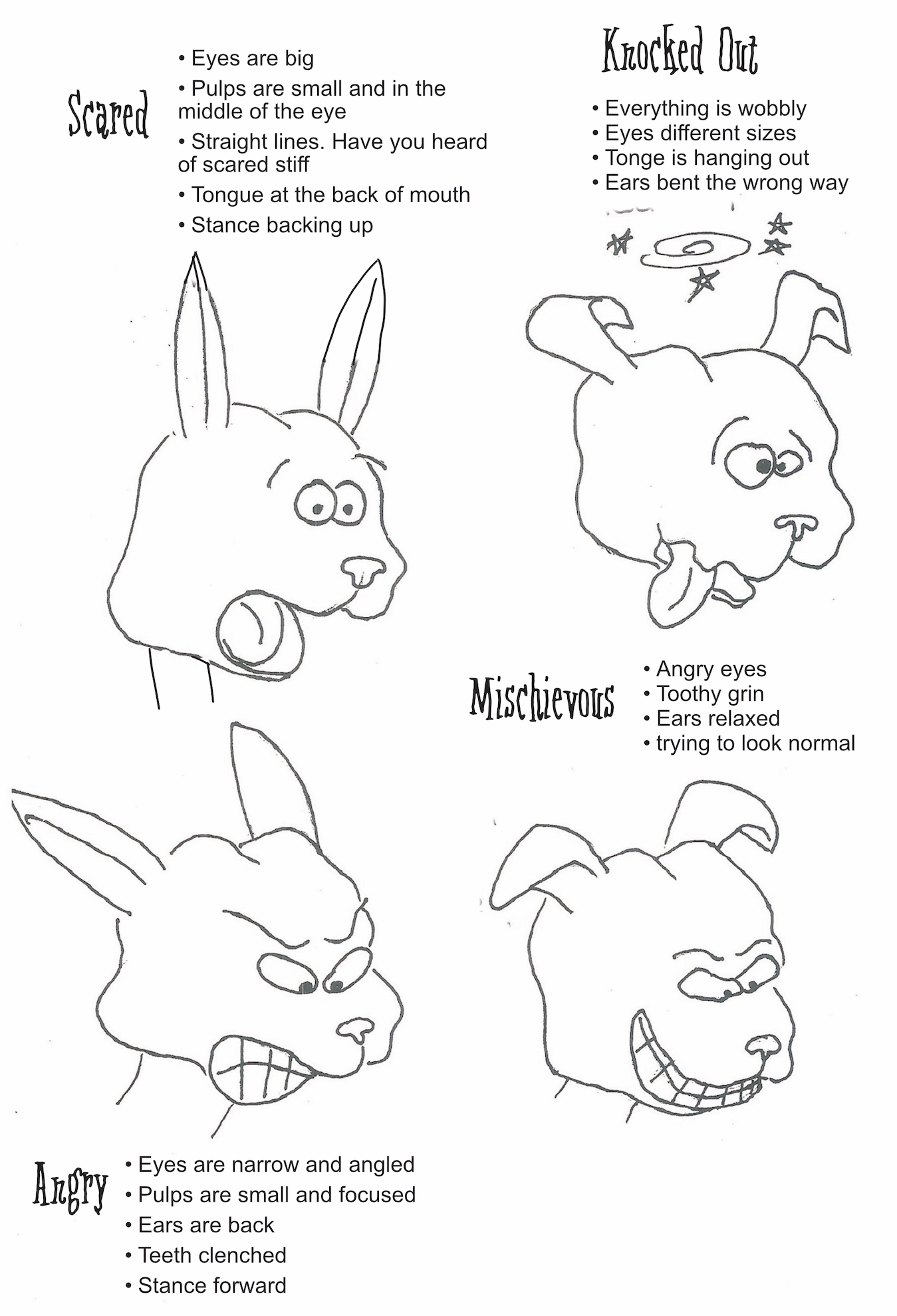 bunny expressions