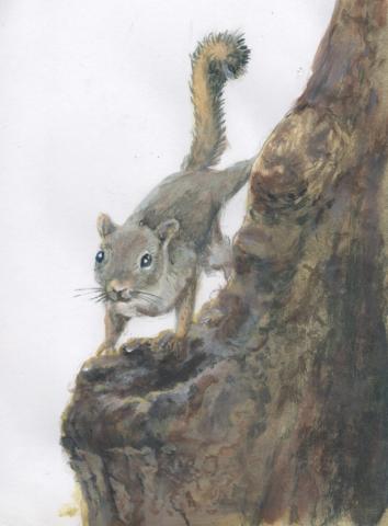 Climbing Squirrel painting 