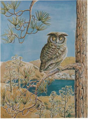 Cartoon Owl Painting