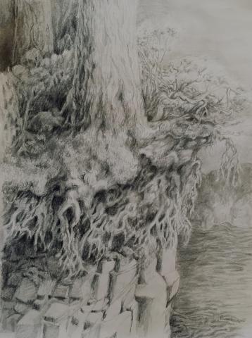 drawing of tree stump and cliff