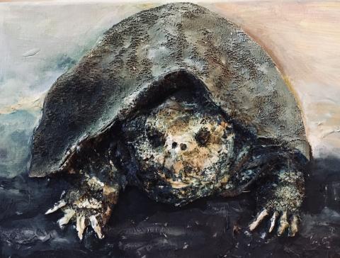 snapping turtle collage painting