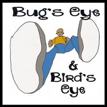bugs eye birds eye icon
